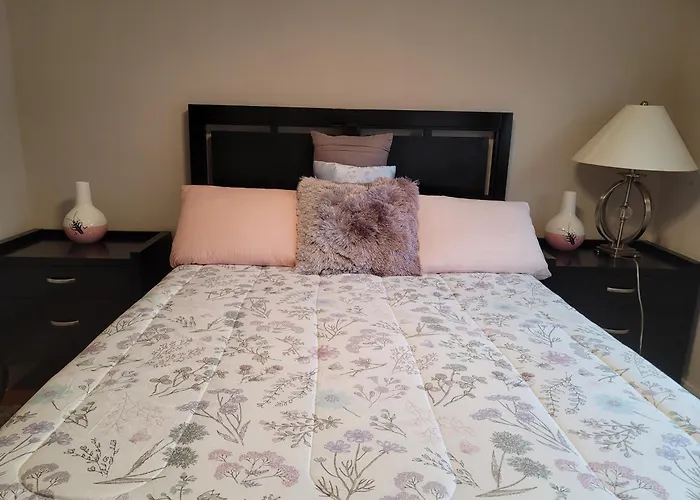 Great Large Home,8 Min From Downtown Holiday home